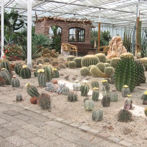 Dagtochten_Cactusoase