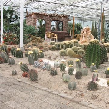 /Portals/0/images/uploads/2015/03/Dagtochten_Cactusoase-360x360.jpg